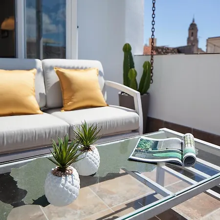 Inmalaga Penthouse Padilla 马拉加
